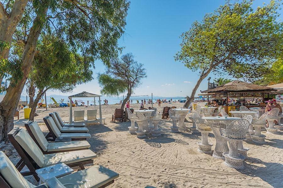 Northern Star * Alcudia (Mallorca)